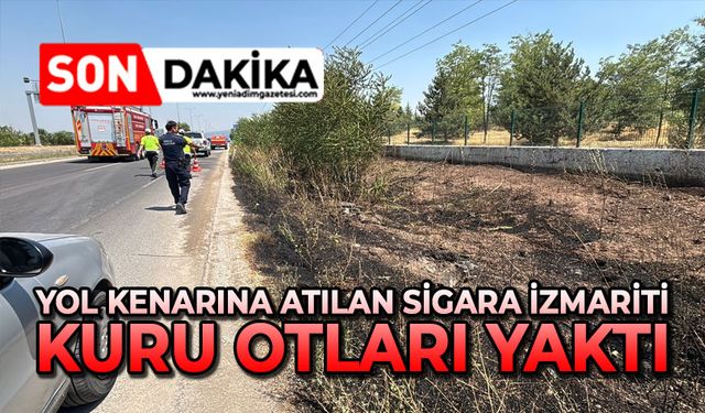 Yol kenarına atılan sigara izmariti, kuru otları yaktı