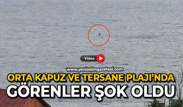 Orta Kapuz ve Tersane Plajı’nda görenler şok oldu