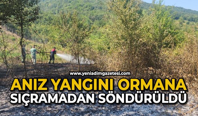 Anız yangını ormana sıçramadan söndürüldü