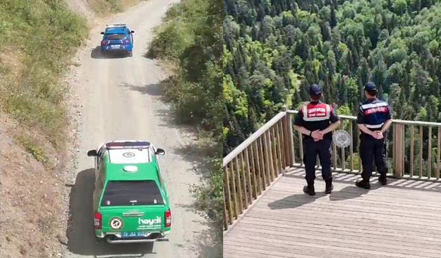 Ormanlar jandarma ve komandoların koruması altında