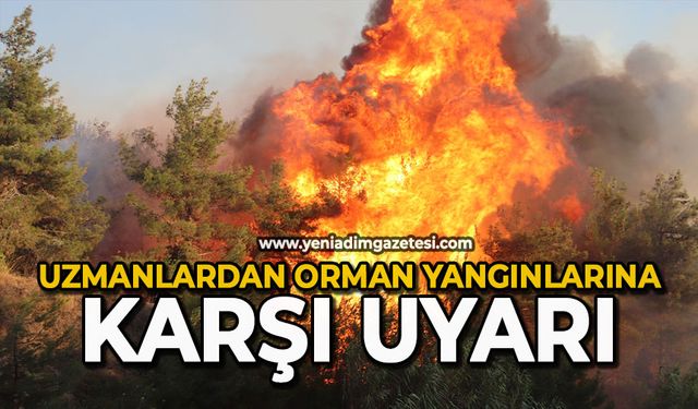 Uzmanlardan orman yangınlarına karşı uyarı