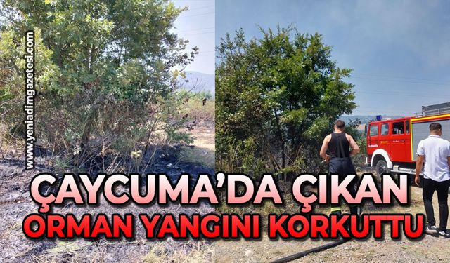 Çaycuma’da çıkan orman yangını korkuttu