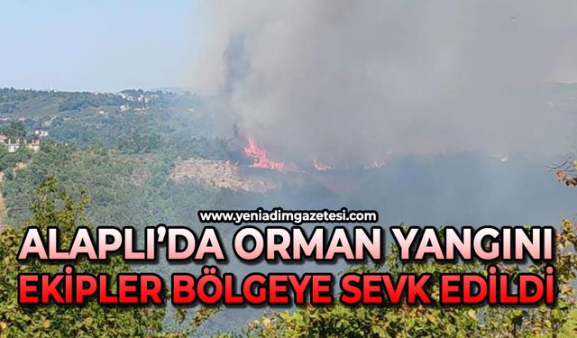 Alaplı’da ormanlık alanda yangın