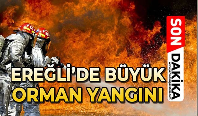 Ereğli'de büyük orman yangını