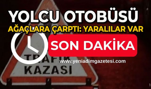Yolcu otobüsü ağaçlara çarptı: Yaralılar var