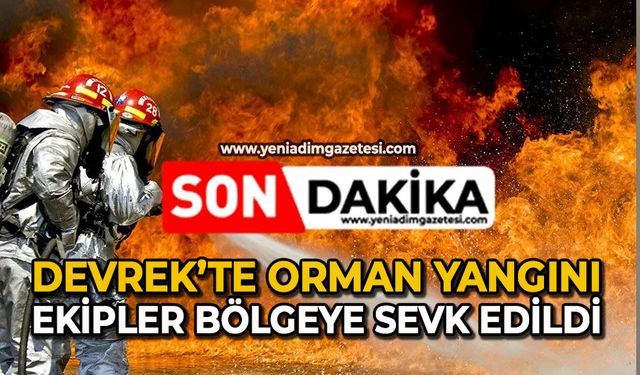 Devrek’te orman yangını: Ekipler bölgeye sevk edildi