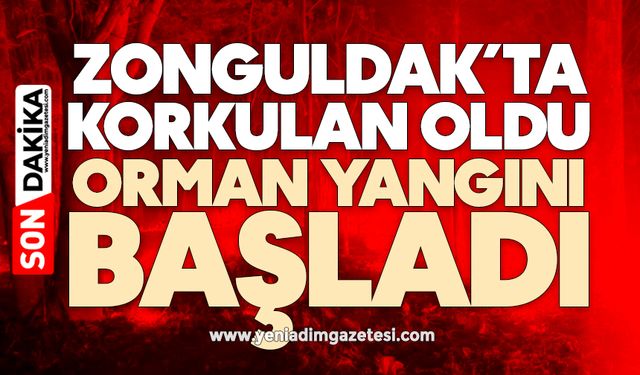 Zonguldak’ta korkulan oldu: Orman yangını başladı
