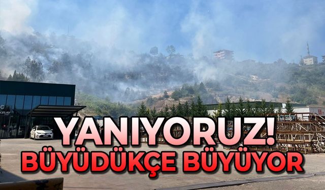 Yanıyoruz! Büyüdükçe büyüyor