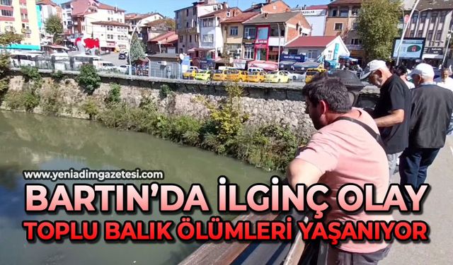 Bartın’da ilginç olay: Toplu balık ölümleri yaşanıyor