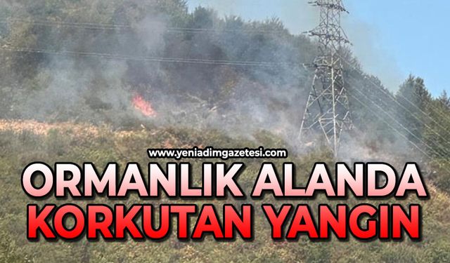 Ormanlık alanda korkutan yangın