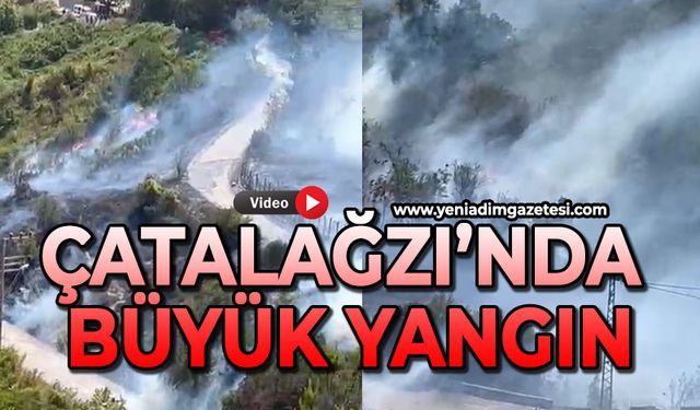 Çatalağzı'nda büyük orman yangını