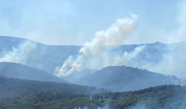 963 personel, 16 hava aracı ile Karamürsel’deki yangına büyük seferberlik