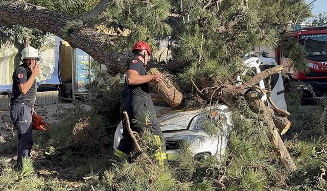 Aracıyla düz yolda giderken kabusu yaşadı