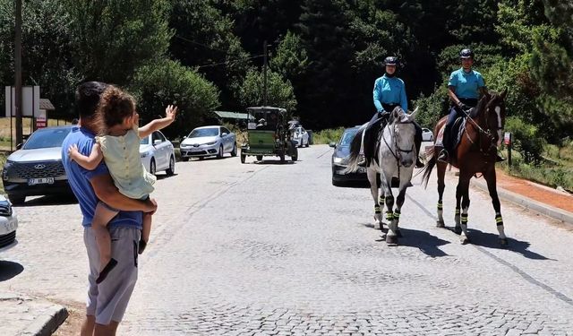 Atlı jandarma timleri görev başında