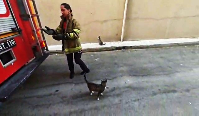Boş daire balkonunda mahsur kalan kedi kurtarıldı