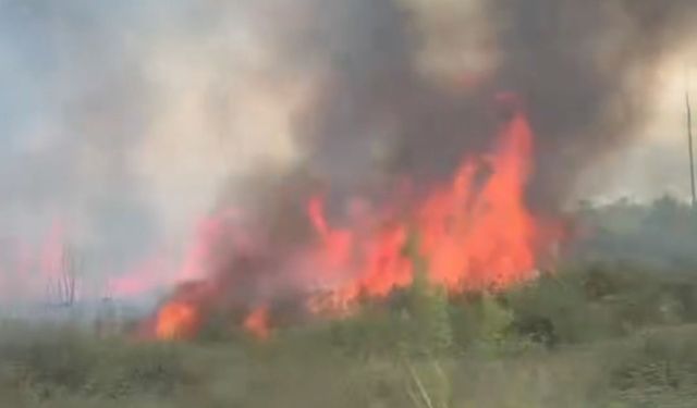 Düzce’de yol kenarındaki yangın güçlükle söndürüldü