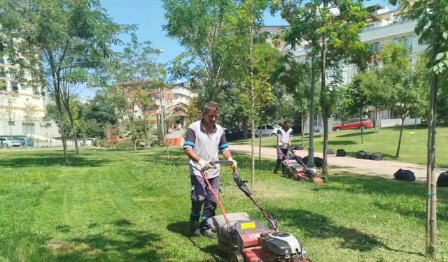 Gebze Tatlıkuyu Vadisi Kent Parkı’na düzenli bakım