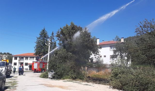 Kopan elektrik telleri yangın çıkarttı