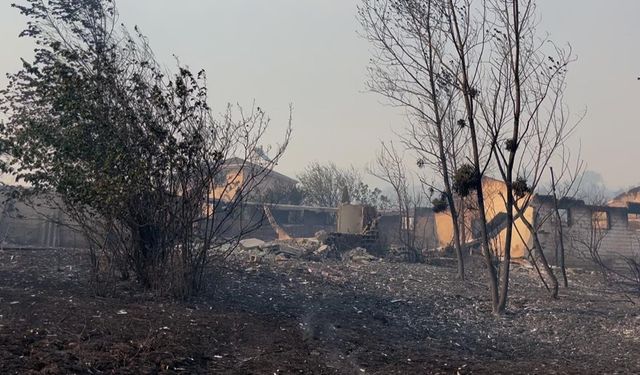 Orman yangınının enerjisi 22.5 saat sonra düştü
