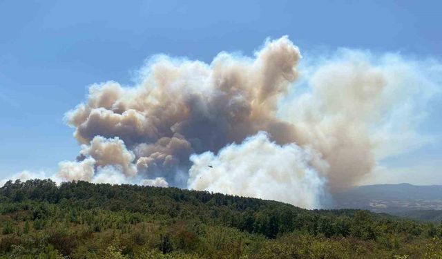Orman yangınına havadan ve karadan müdahale ediliyor