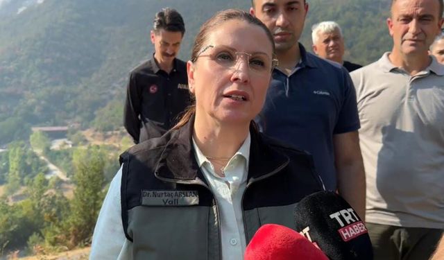 Vali Arslan’dan yangına ilişkin açıklama