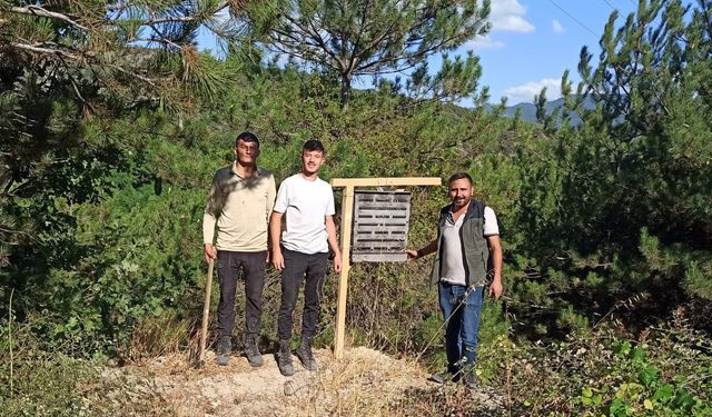Yanan ormanlık alanlara feromon tuzakları asıldı