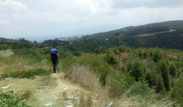 Zabıta ekipleri yangınlara karşı devriyede