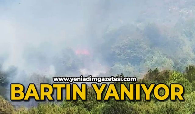Bartın’da orman yangını çıktı
