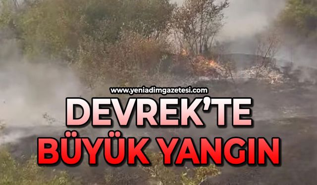 Devrek'te büyük yangın çıktı
