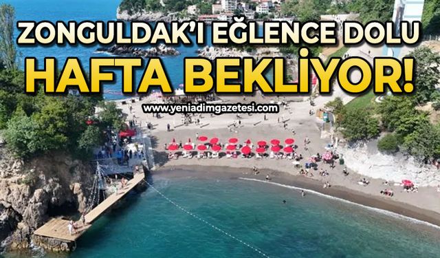 SİYASET