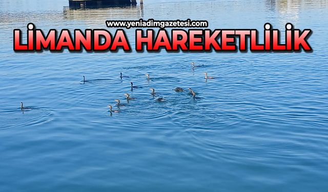 Zonguldak limanında hareketlilik