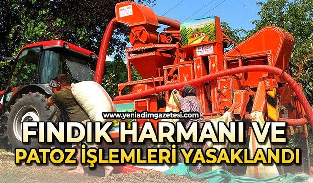 Fındık harmanı ve patoz işlemleri yasaklandı