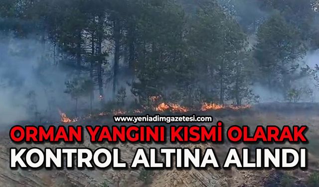 Orman yangın kısmi olarak kontrol altına alındı