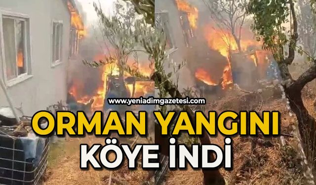 Orman yangını köye indi