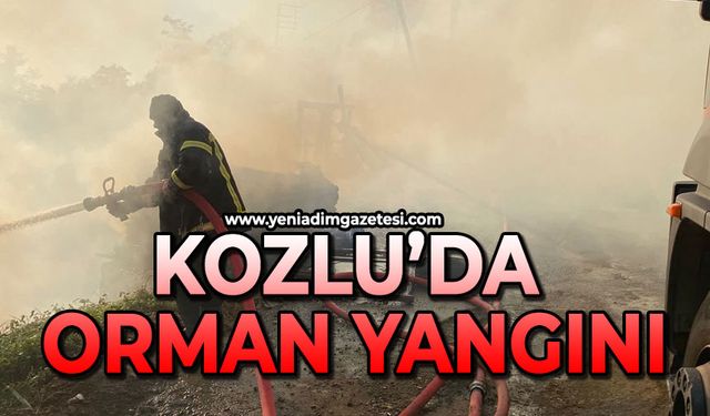 Kozlu'da orman yangını