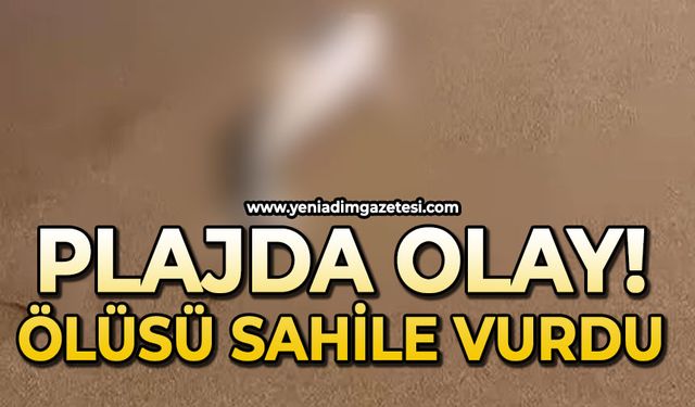 Plajda olay: Ölüsü karaya vurdu