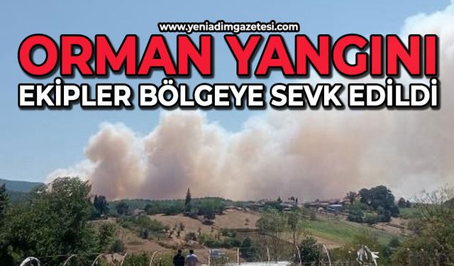 Orman yangını başladı: Ekipler bölgede