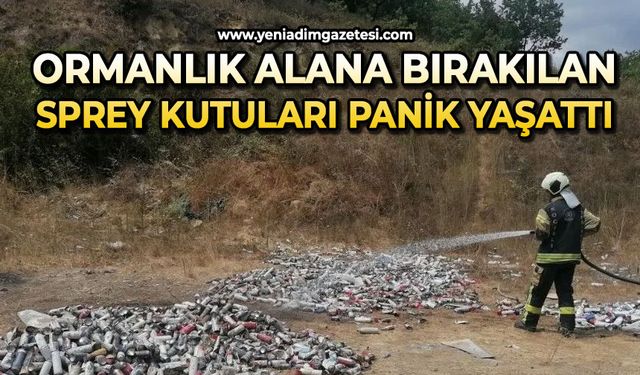 Ormana bırakılan yüzlerce sprey kutusu paniğe sebep oldu