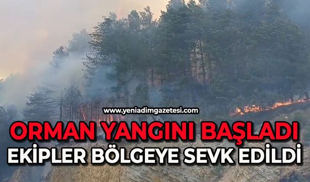 Orman yangını başladı: Havadan ve karadan müdahale sürüyor