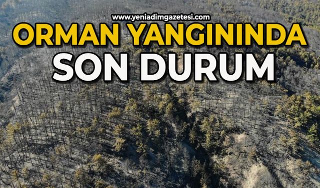 Orman yangını büyük ölçüde kontrol altına alındı