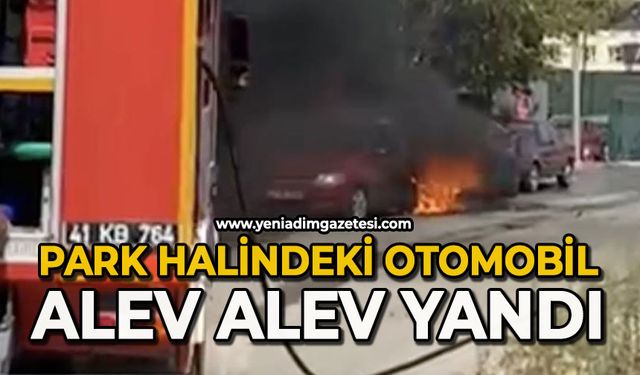Park halindeki iki otomobil alev alev yandı