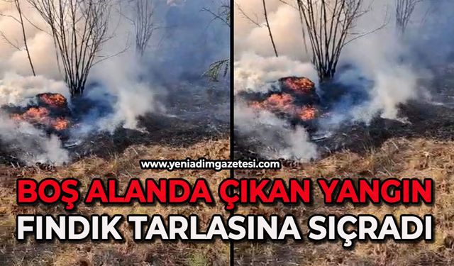 Boş alanda çıkan yangın fındık tarlasına sıçradı