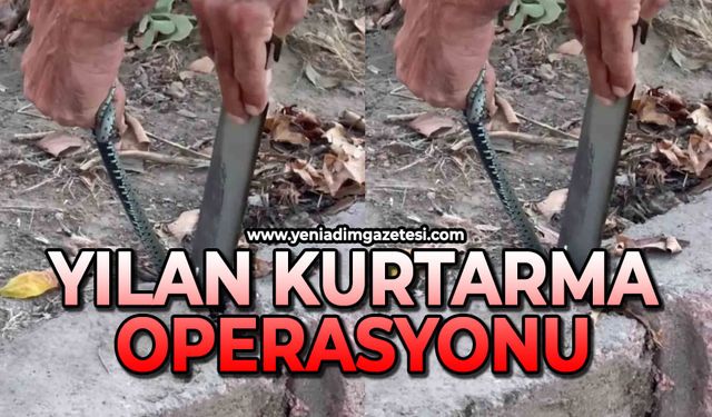 Vatandaştan yılan kurtarma operasyonu