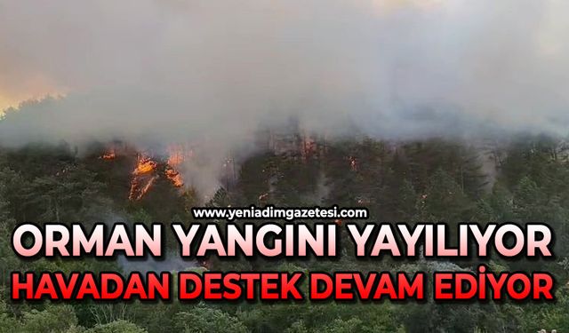 Orman yangını yayılıyor: 7 helikopterle havadan destek