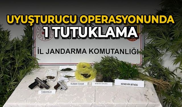 Uyuşturucu operasyonunda 1 tutuklama