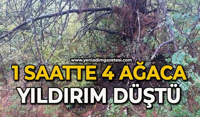 1 saatte 4 ağaca yıldırım düştü