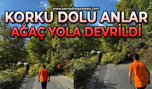 Korku dolu anlar: Yola ağaç devrildi