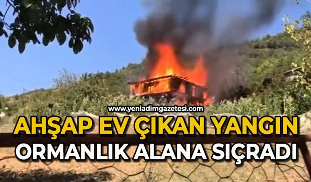 Ahşap evde çıkan yangın ormanlık alana sıçradı