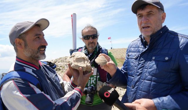 2 bin 587 rakımlı dağın zirvesinde deniz fosilleri bulundu