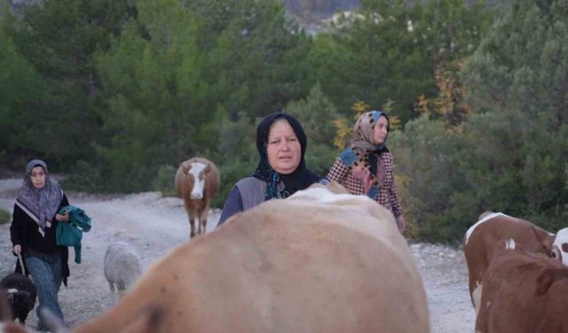 Kastamonu’da orman yangını kontrol altına alındı, vatandaşlar köylerine kavuştu